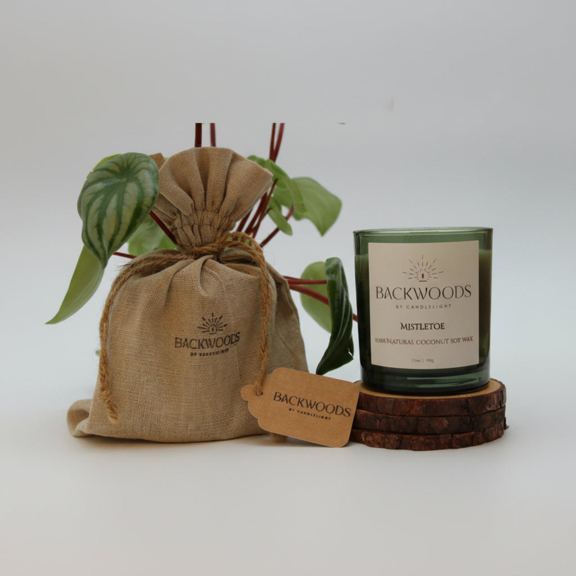 Backwoods By Candlelight all natural candle, non-toxic candle. Mistletoe packaging with handmade candle, wooden wick, plant and candle coaster.