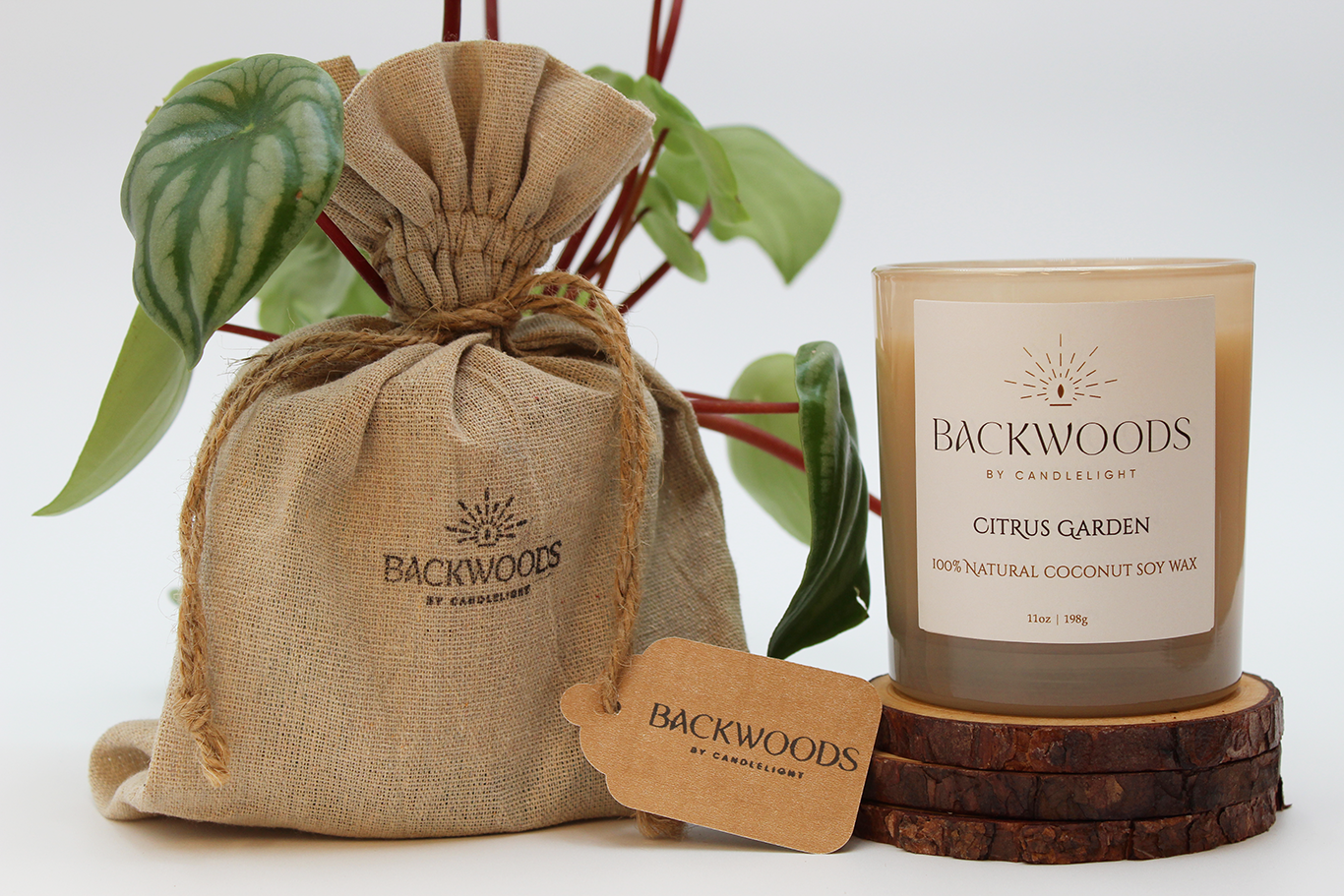Backwoods By Candlelight all natural candle, non-toxic candle. Citrus Garden packaging with handmade candle, wooden wick, plant and candle coaster.